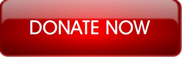 Red Glass Donate Now Button